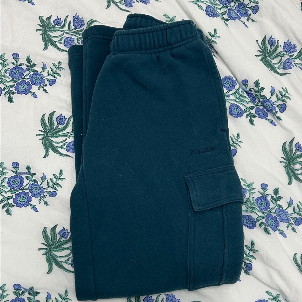 Aritzia Cargo Wide Leg Sweats